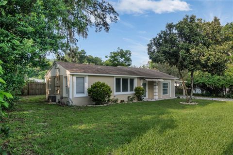 A home in MOUNT DORA