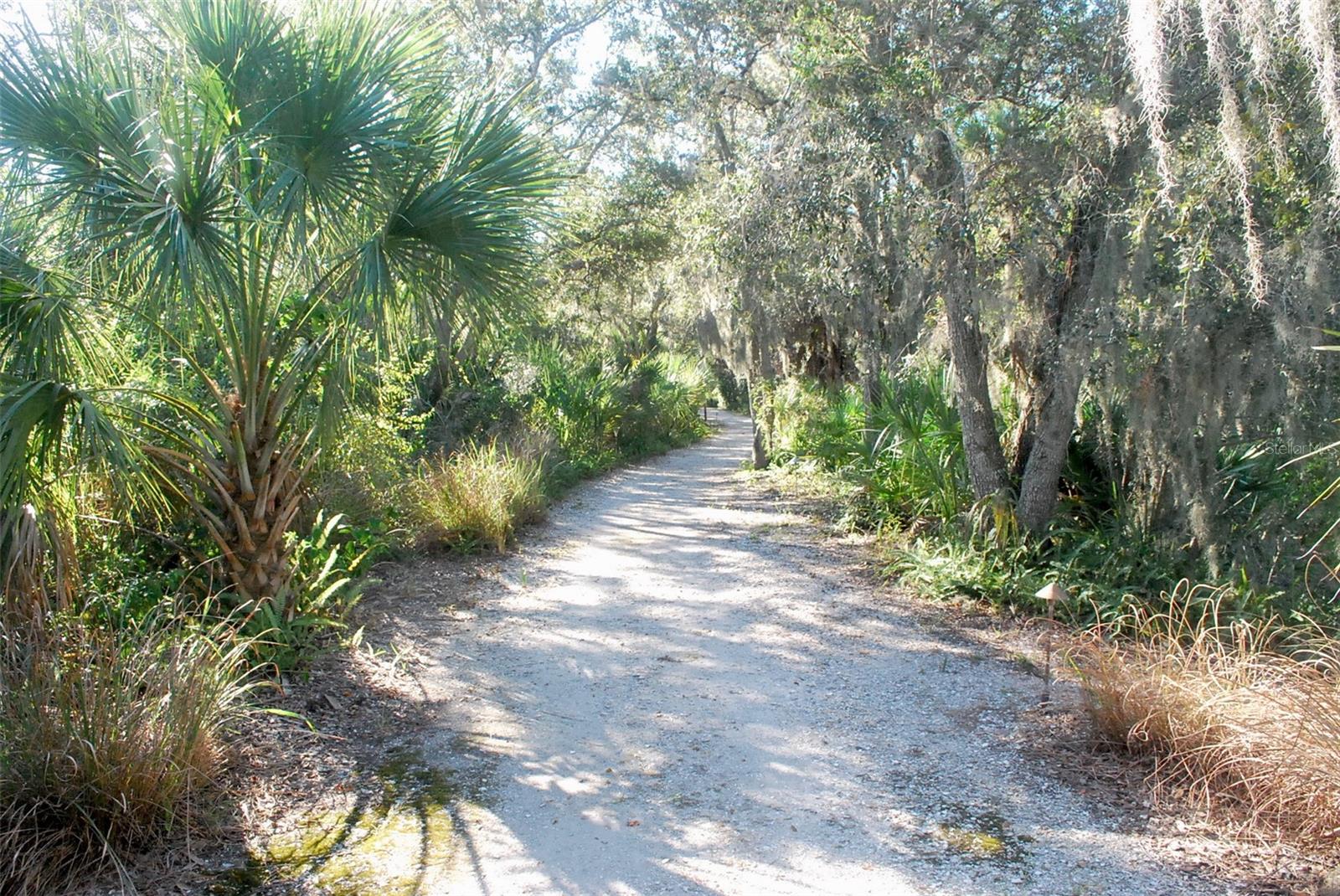 HARBORAGE ON BRADEN RIVER II PH I - Residential