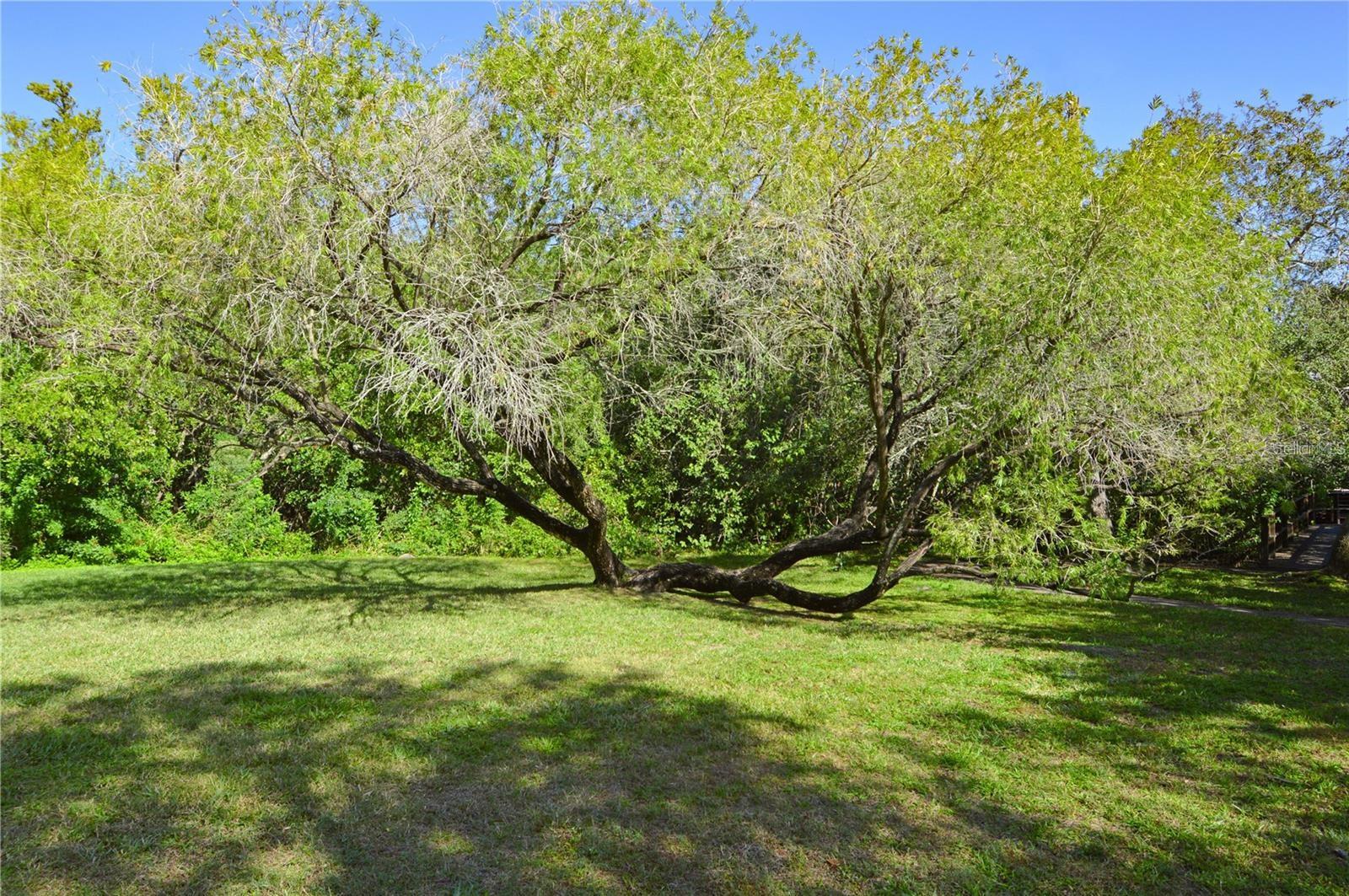 EASTWOOD SHORES 2 PH 2 - Residential Lease