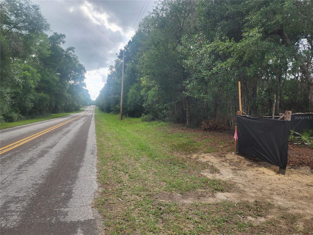 Photo of 3919 E Orchid Street, Hernando, FL 34442 (MLS # OM704599)