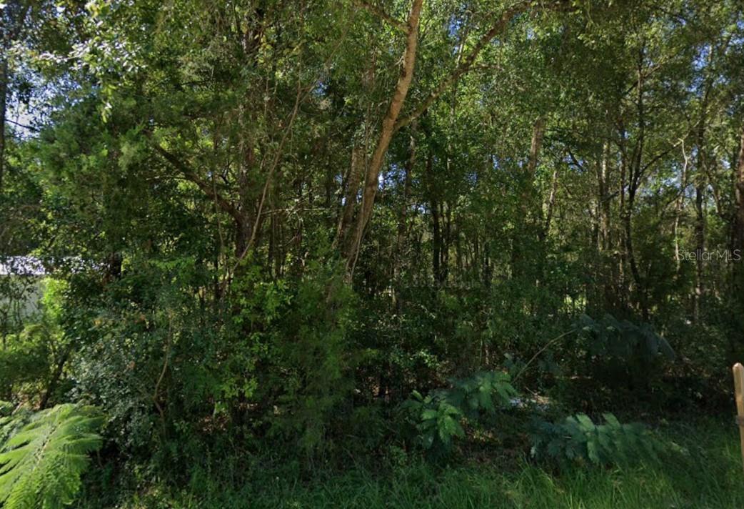 Lot 12 NW 12TH LANE