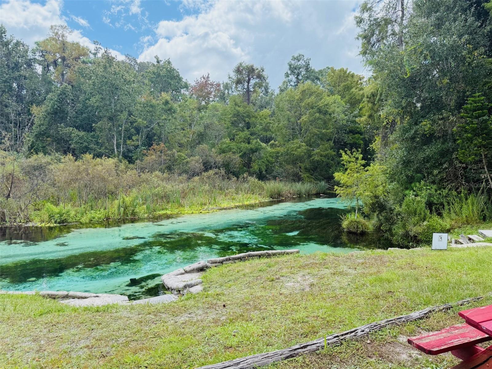 WEEKI WACHEE HILLS - Residential