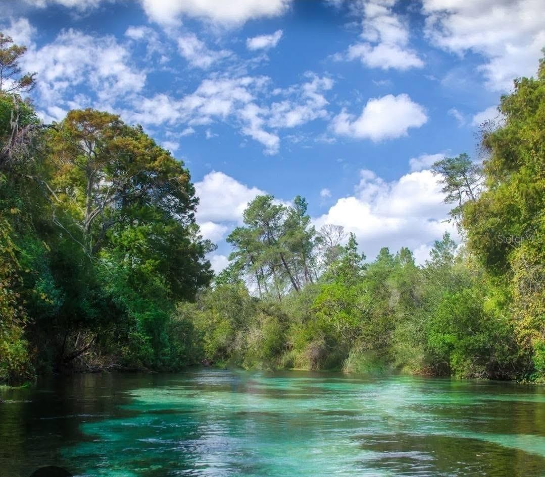 WEEKI WACHEE HILLS - Residential