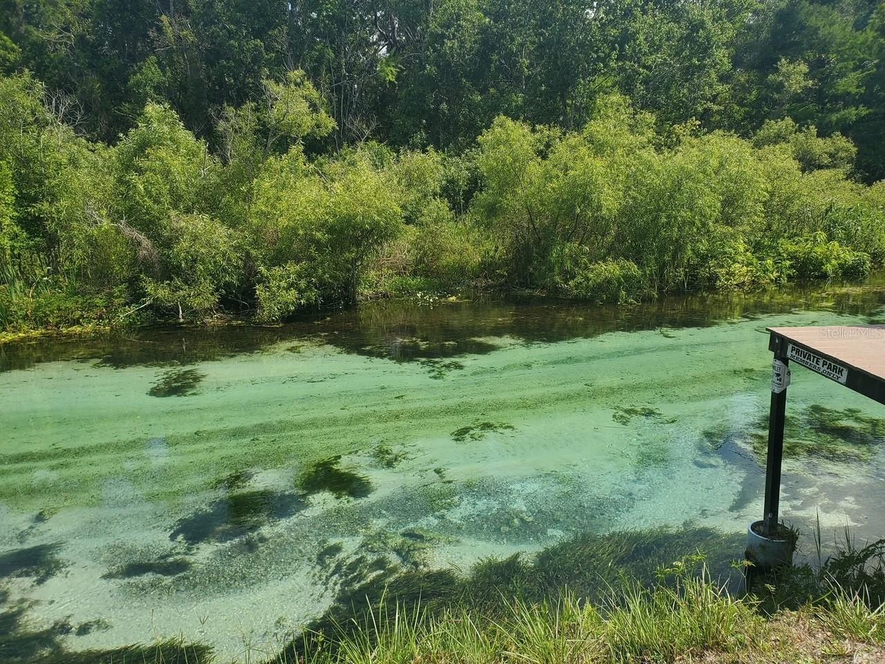 WEEKI WACHEE HILLS - Residential