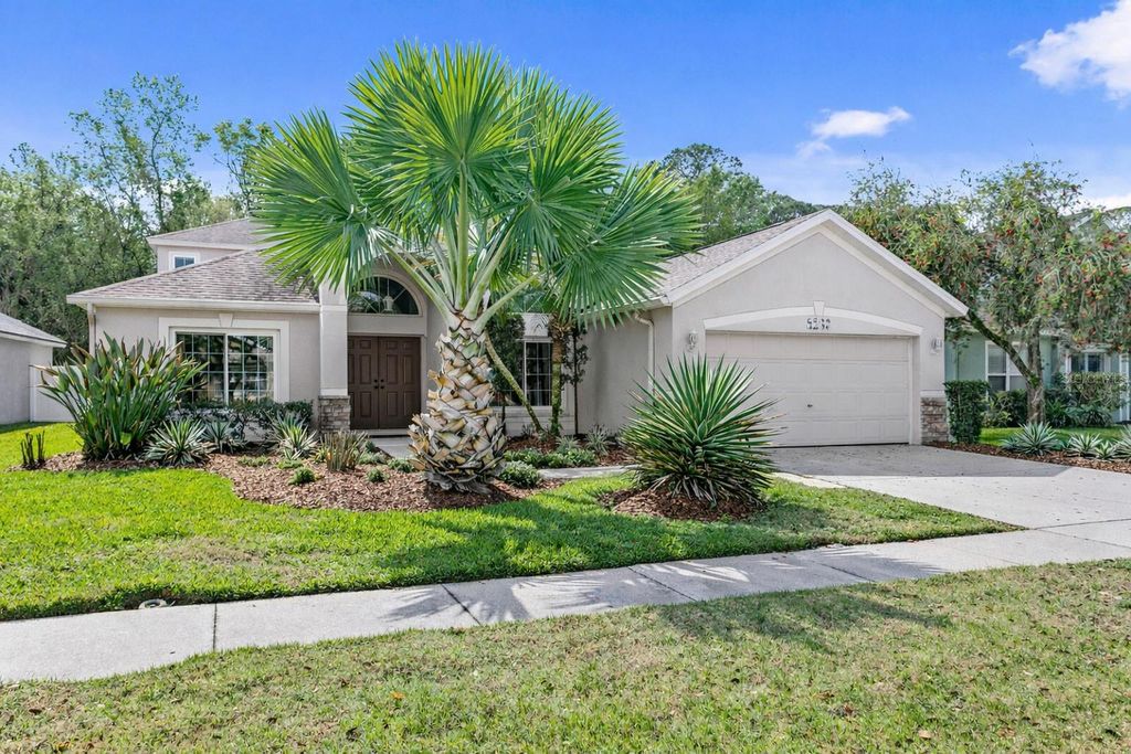 Photo of 8263 Swann Hollow Drive, Tampa, FL 33647 (MLS # TB8487183)