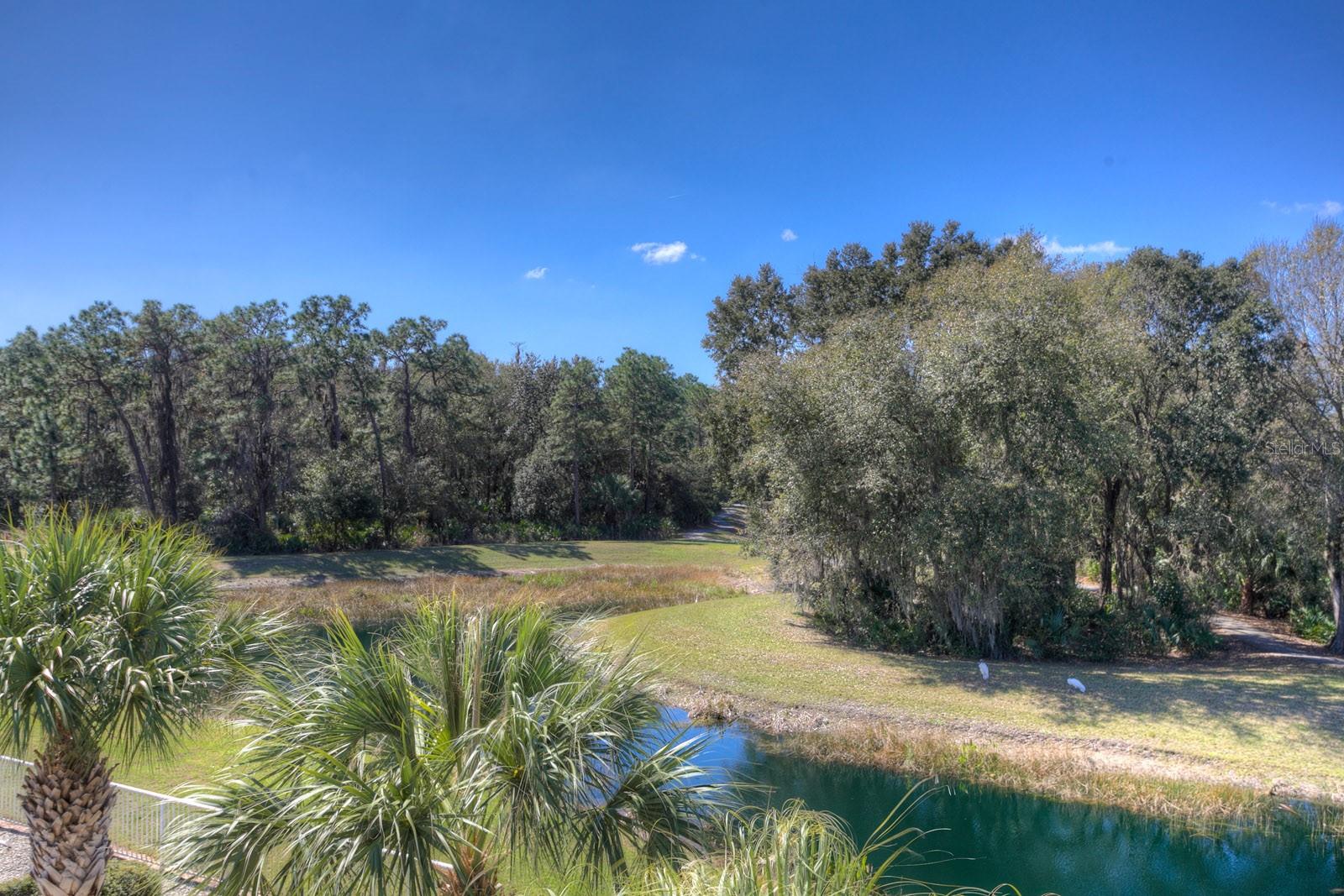 WEST MEADOWS PARCELS 12A 12B-1 - Residential