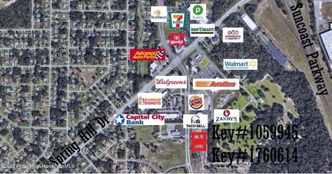 00 ANDERSON SNOW ROAD SPRING HILL FL 34609
