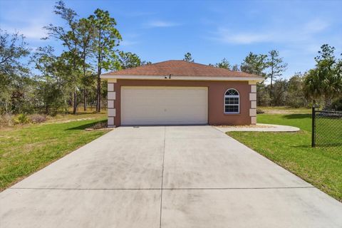 Tiny photo for 6051 N Mahogany Terrace, Beverly Hills, FL 34465 (MLS # TB8490296)