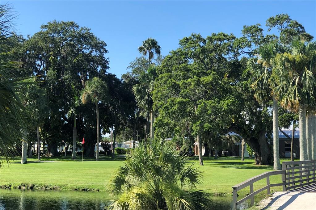 GOLF LAKES RESIDENTS CO-OP - Residential Lease