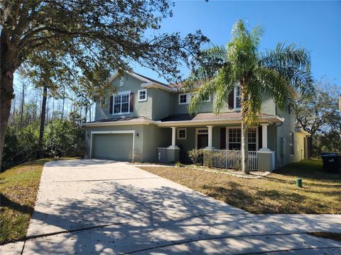 602 LOCHSMERE LANE ORLANDO FL 32828