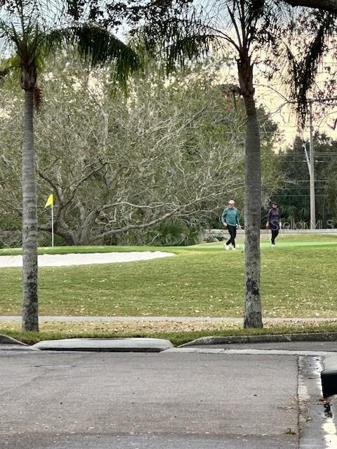 EAST LAKE WOODLANDS WOODRIDGE GREEN TWNHMS - Residential