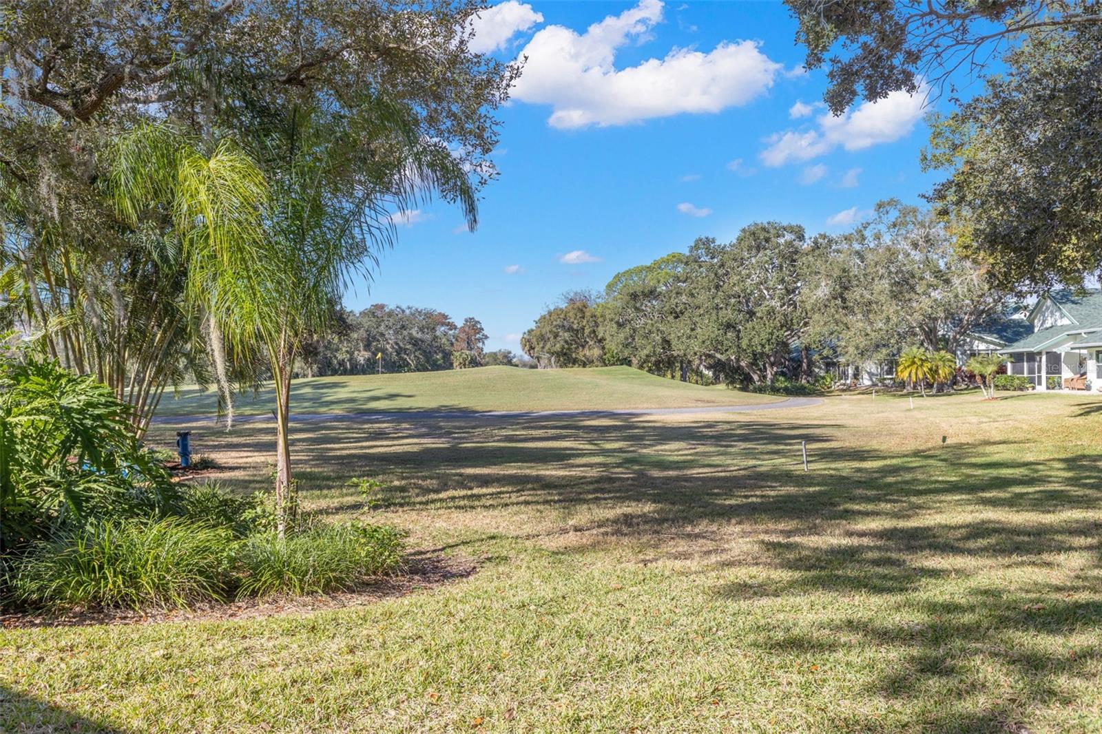 EAST LAKE WOODLANDS WOODRIDGE GREEN TWNHMS - Residential