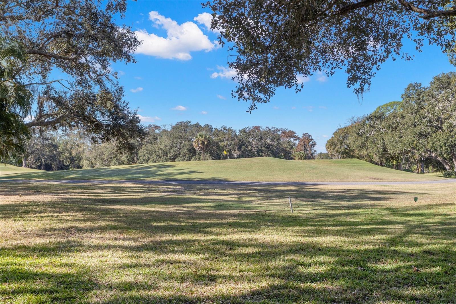 EAST LAKE WOODLANDS WOODRIDGE GREEN TWNHMS - Residential