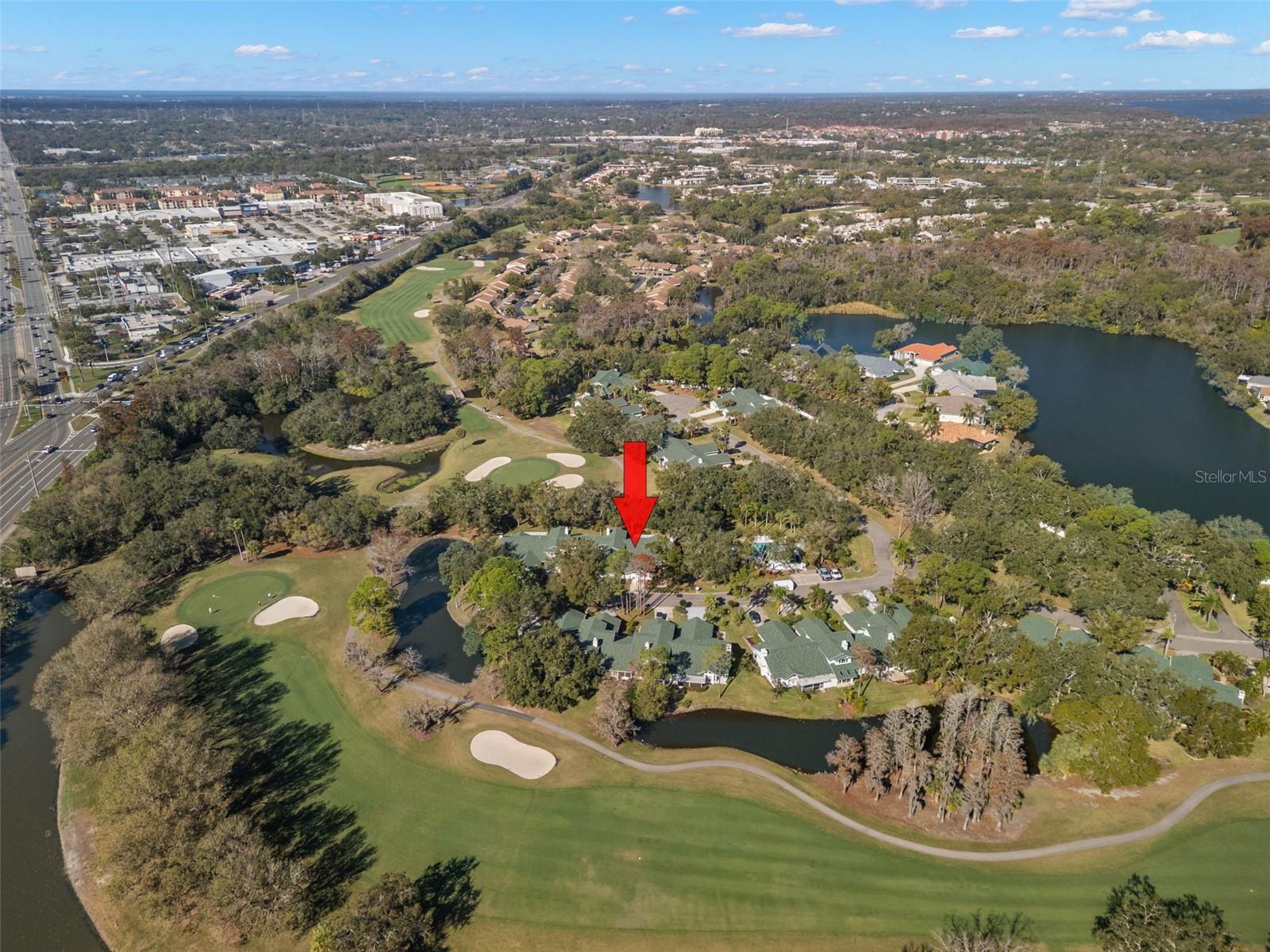 EAST LAKE WOODLANDS WOODRIDGE GREEN TWNHMS - Residential