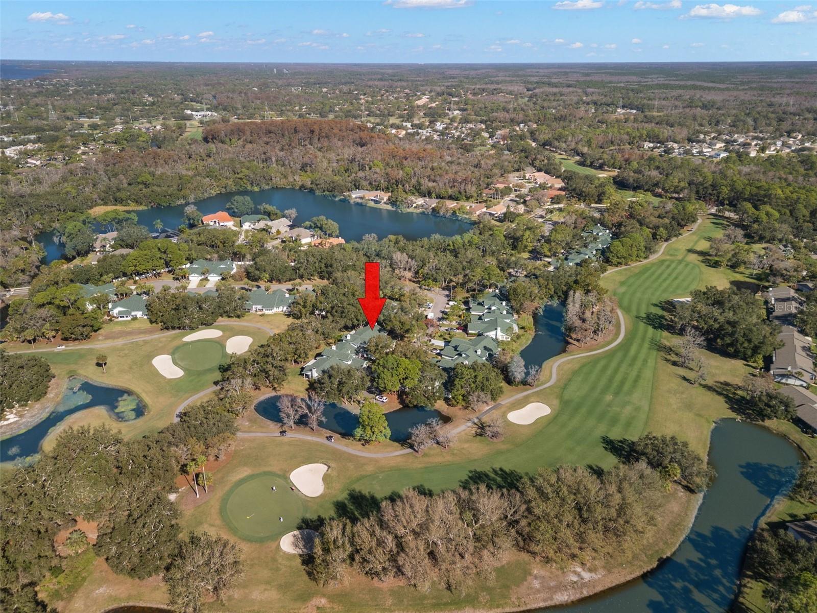 EAST LAKE WOODLANDS WOODRIDGE GREEN TWNHMS - Residential