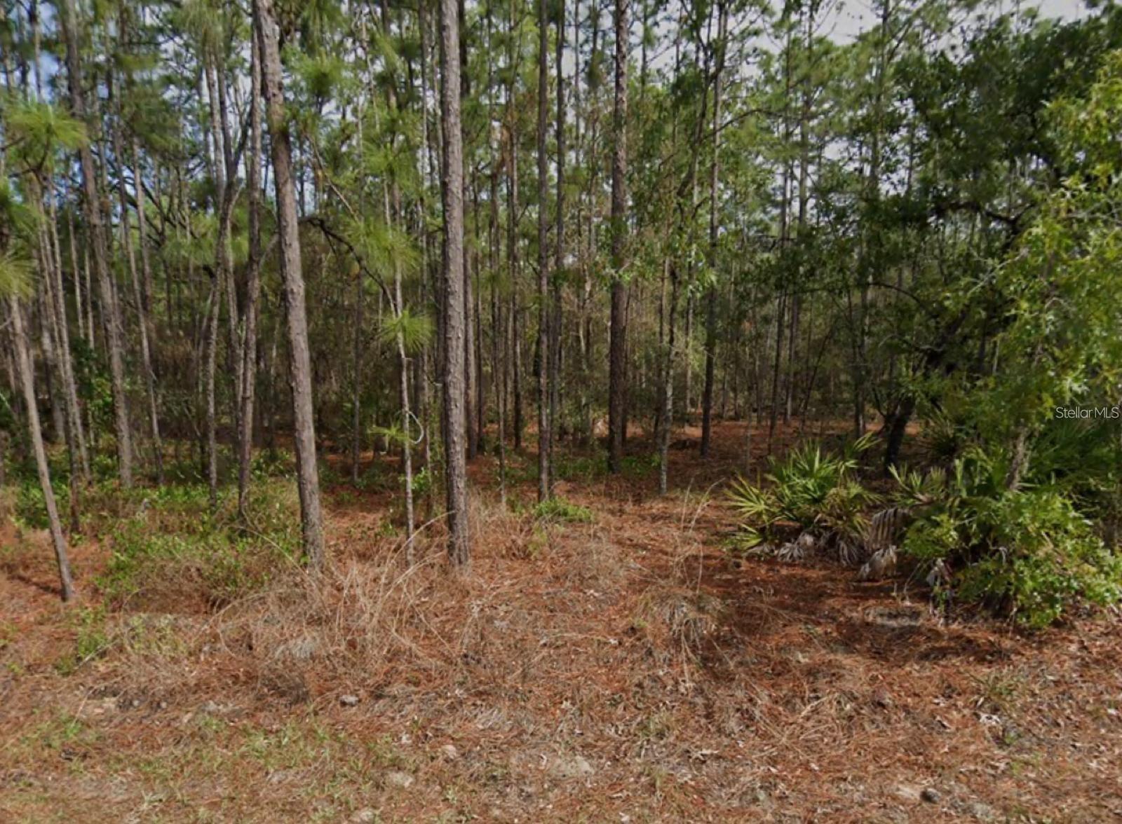 SUGARMILL WOODS CYPRESS VILLAGE - Land