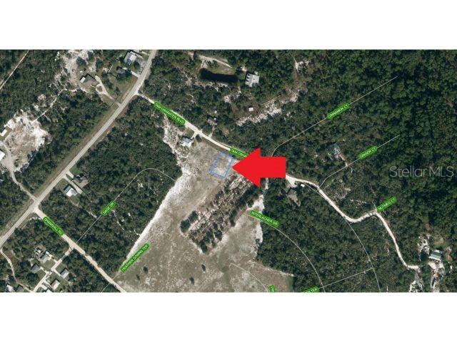 ORANGE BLOSSOM CCC - Land