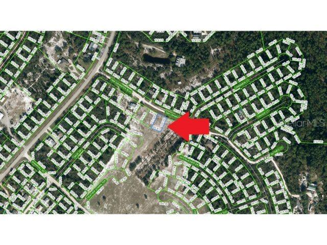 ORANGE BLOSSOM CCC - Land