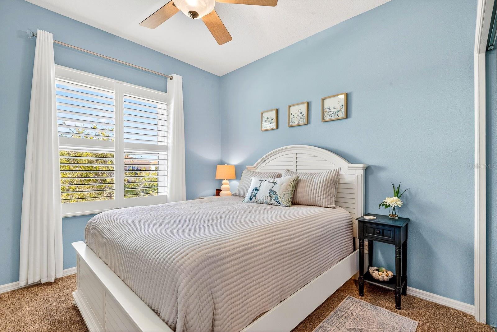 PALMA SOLA TRACE - Residential