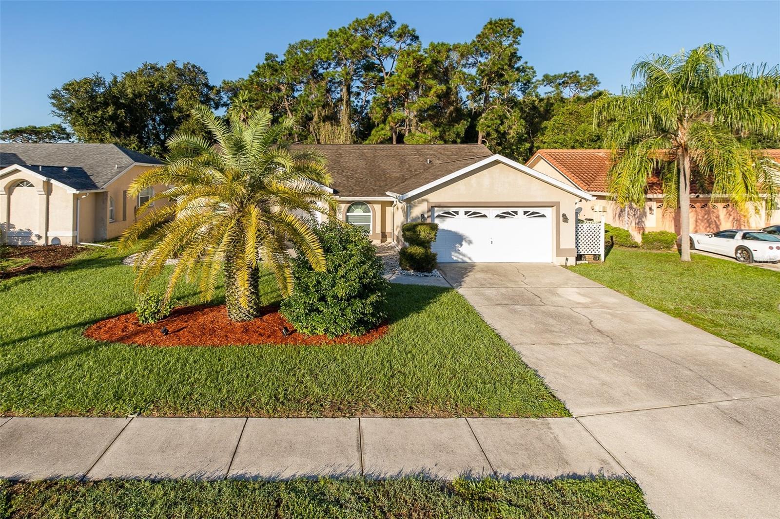 5343 SAGAMORE COURT