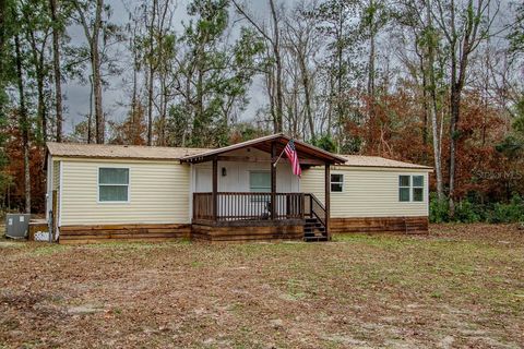 Photo of 448 SW Central Terrace, Fort White, FL 32038 (MLS # GC536544)