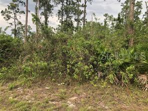 Build your dream home and enjoy the tranquility that surrounds this beautiful lot in Lehigh Acres, FL. Relax and enjoy the peacefulness of country living, near shopping areas, minutes away from Highways. Peace and Quiet when you want it. Shopping, dining, and entertainment when you need it.