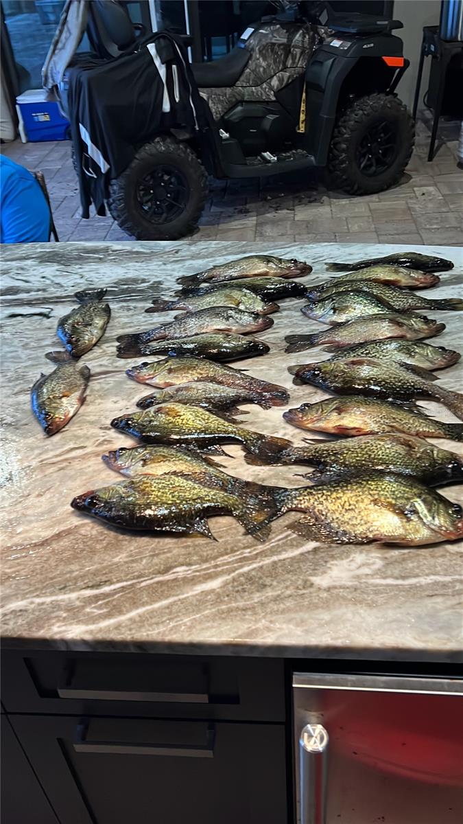 CYPRESS SHORES - Residential