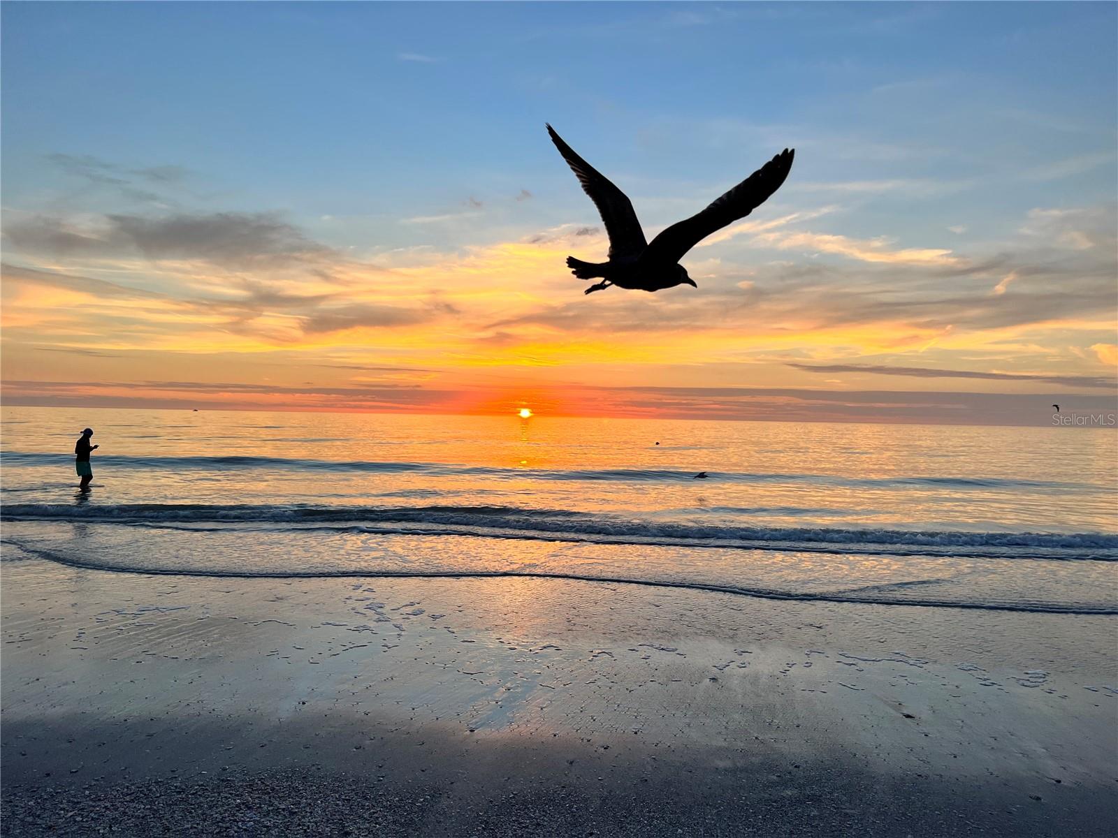 NORTH BEACH VILLAGE II - Residential