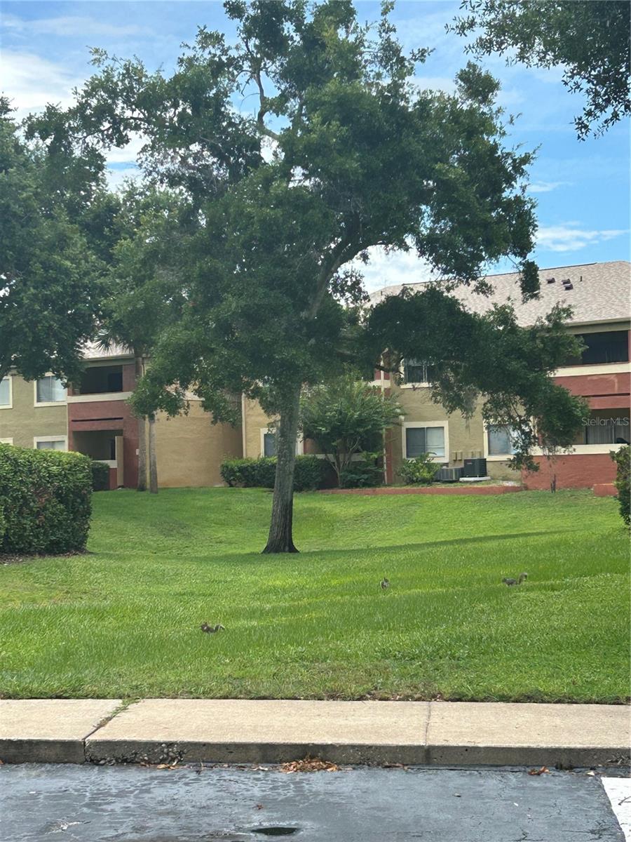 OXFORD SQUARE CONDO - Residential
