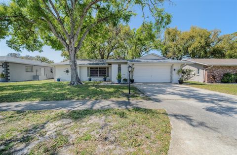3219 SPANISH MOSS LANE PALM HARBOR FL 34684