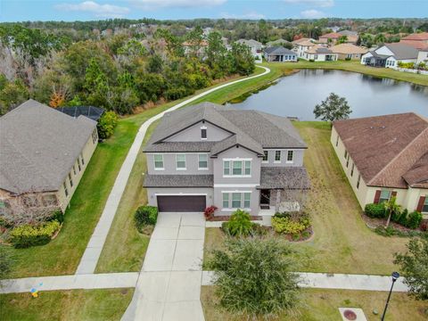 A home in RIVERVIEW