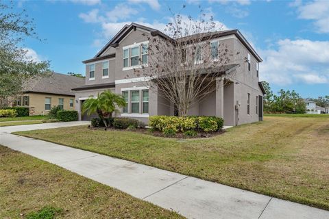 A home in RIVERVIEW