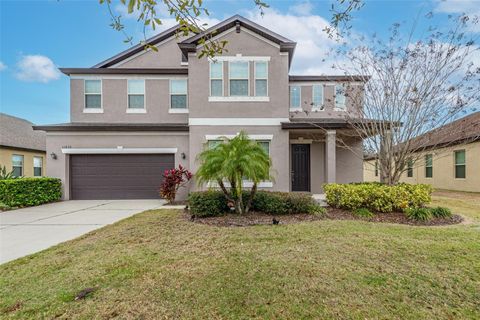 A home in RIVERVIEW