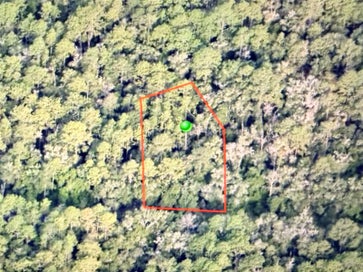 9452 N IRONDALE ROAD CITRUS SPRINGS FL 34434