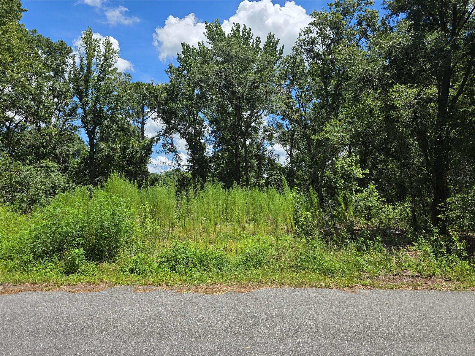 Build your dream home in Silver Springs Shores! This .23-acre vacant lot offers 80 ft of frontage on a paved, public-maintained road in a quiet residential neighborhood. Surrounded by trees and greenery, this lot provides the perfect balance of nature and convenience. No HOA, site-built homes only, and electric nearby. Septic is needed; well may be required. Located near Lake Weir Middle & High School, parks, and shopping. Don’t miss this opportunity to own land in growing Marion County!