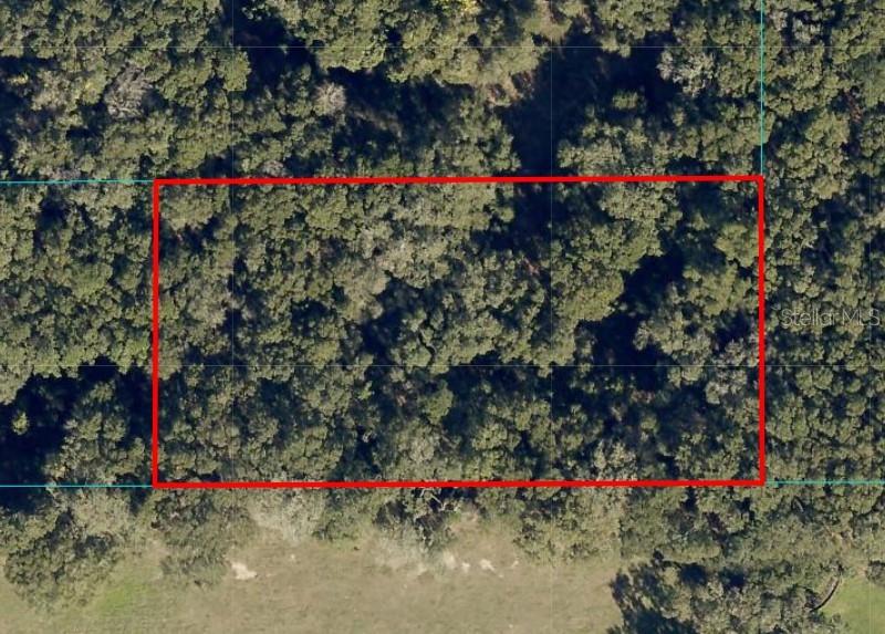 Beautiful 2 acre property located in the heart of Ocala, North of Belleview and West of Silver Springs Shores. Zoned A-1 which is Agricultural. Surrounded by other developed properties. Not far from Santos Trailhead and Campground, a mecca for mountain biking.
