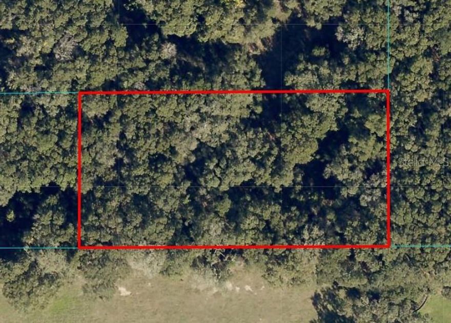 Beautiful 2 acre property located in the heart of Ocala, North of Belleview and West of Silver Springs Shores. Zoned A-1 which is Agricultural. Surrounded by other developed properties. Not far from Santos Trailhead and Campground, a mecca for mountain biking.