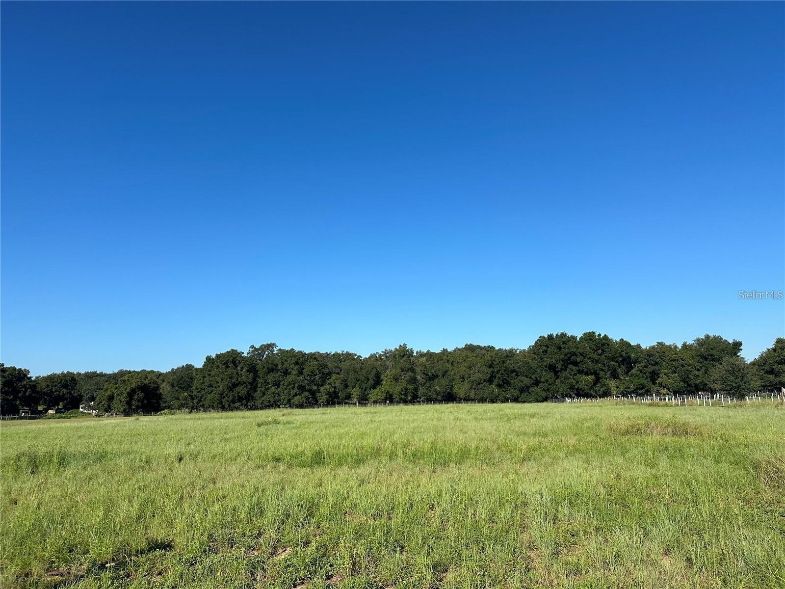 **MUST SEE!!** Exceptional opportunity in Lake Wales with one 1/2-acre vacant lot available! This property has endless land use possibilities with **NO HOA** and **NO CDD** fees. Whether you envision building your dream home or starting a small farm, this is the perfect canvas for your vision. Located conveniently close to schools, shopping, and restaurants, you’ll be just a short drive from popular attractions like Legoland and only an hour from Disney! Don’t miss out on this incredible opportunity! Call me for more information today!