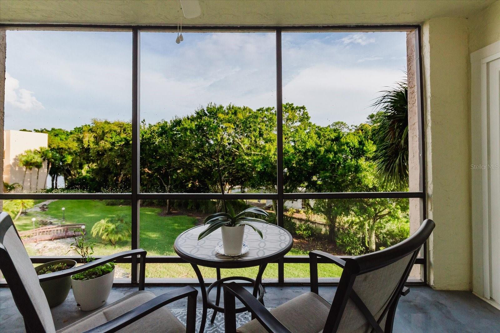 LAKE TARPON SAIL & TENNIS CLUB - Residential