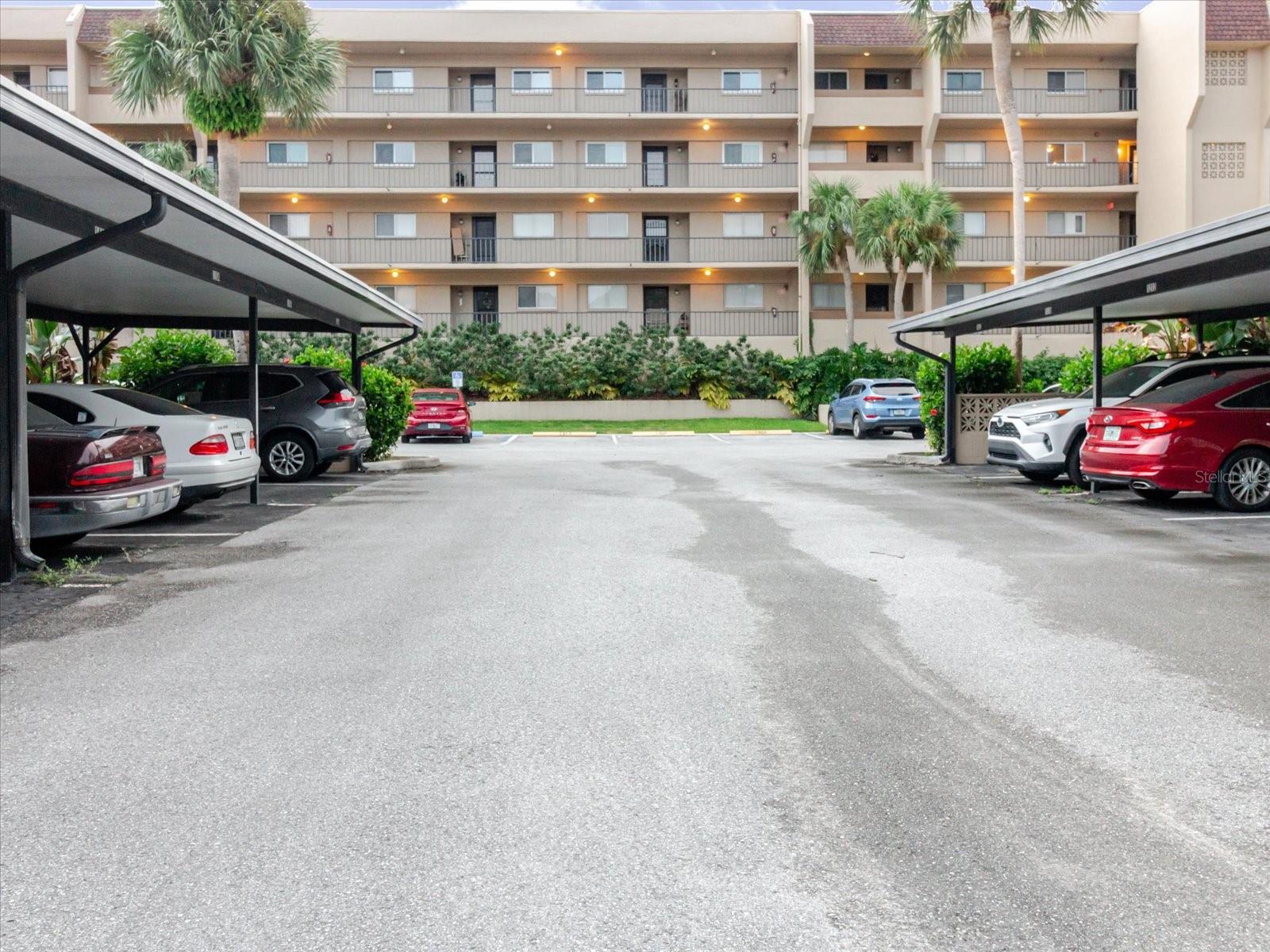 LAKE TARPON SAIL & TENNIS CLUB - Residential