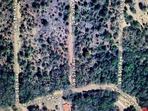 Lot 30 SW 57TH AVENUE INTERLACHEN FL 32148