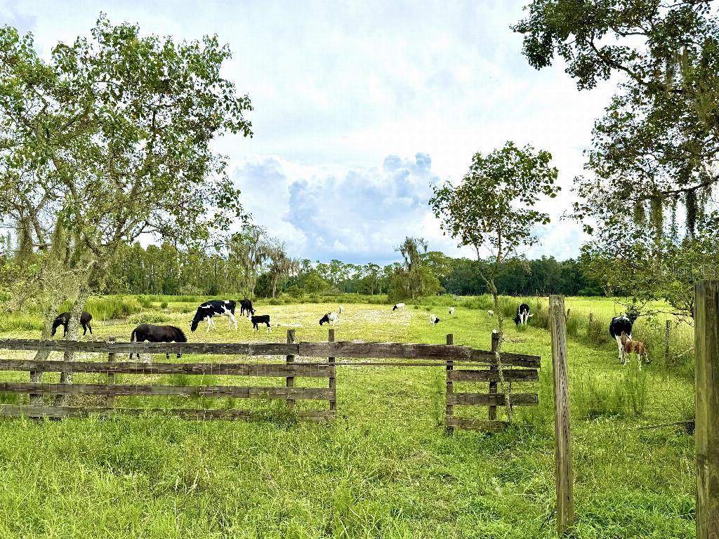 UNPLATTED - Land