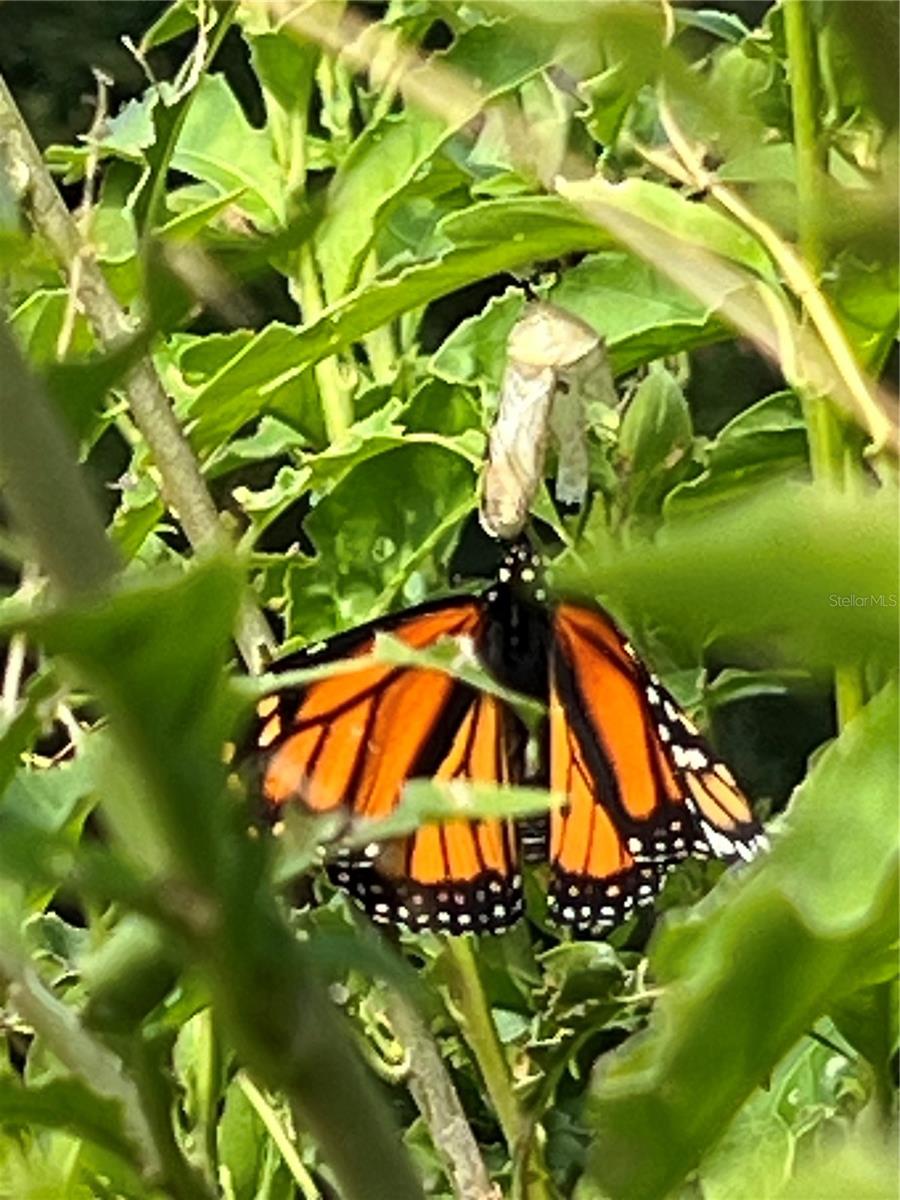 TWIN LAKES ESTATES - Residential