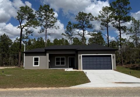 Photo of 3785 W Wilhelm Street, Citrus Springs, FL 34433 (MLS # O6388712)