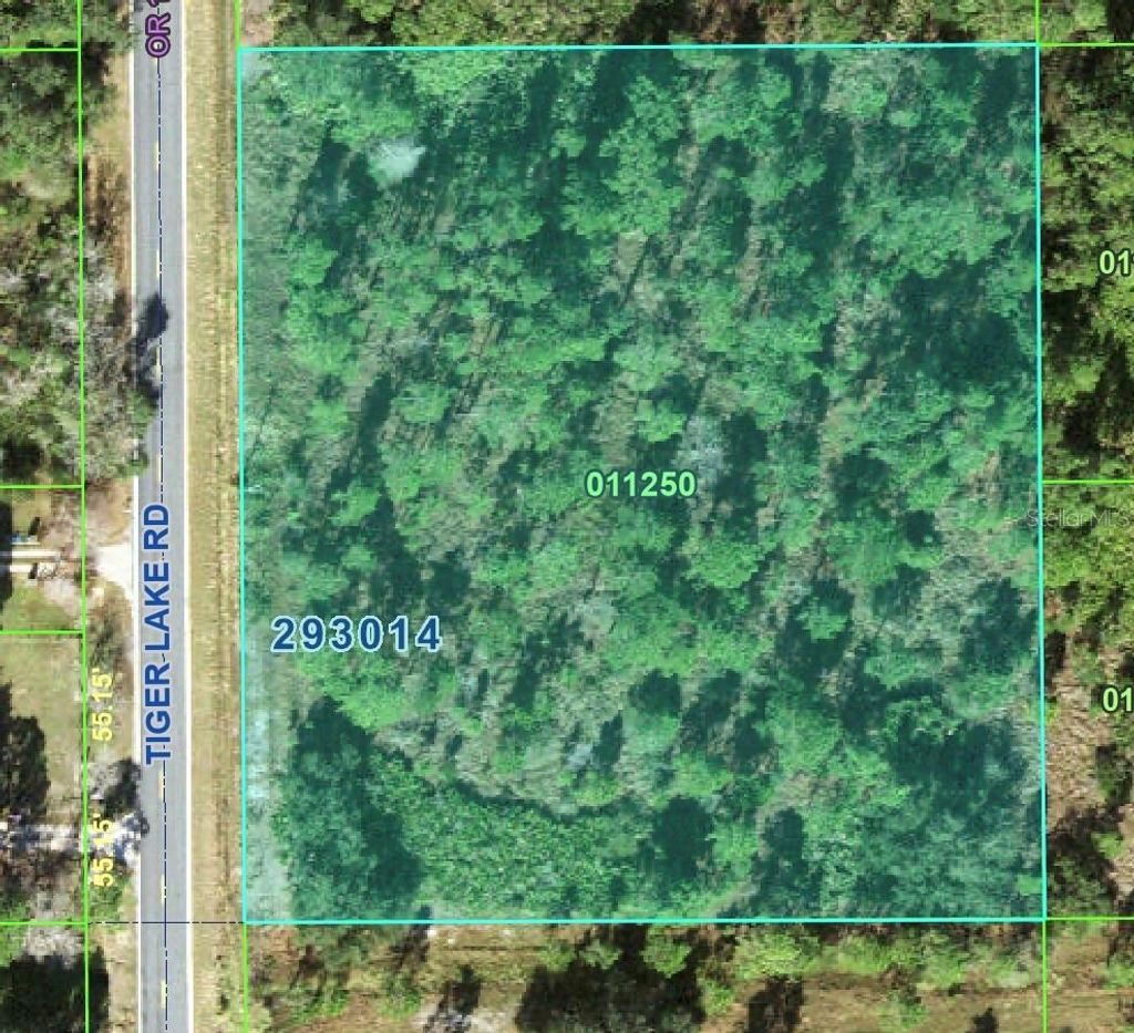 Photo of Tiger Lake Road, Lake Wales, FL 33898 (MLS # O6374665)