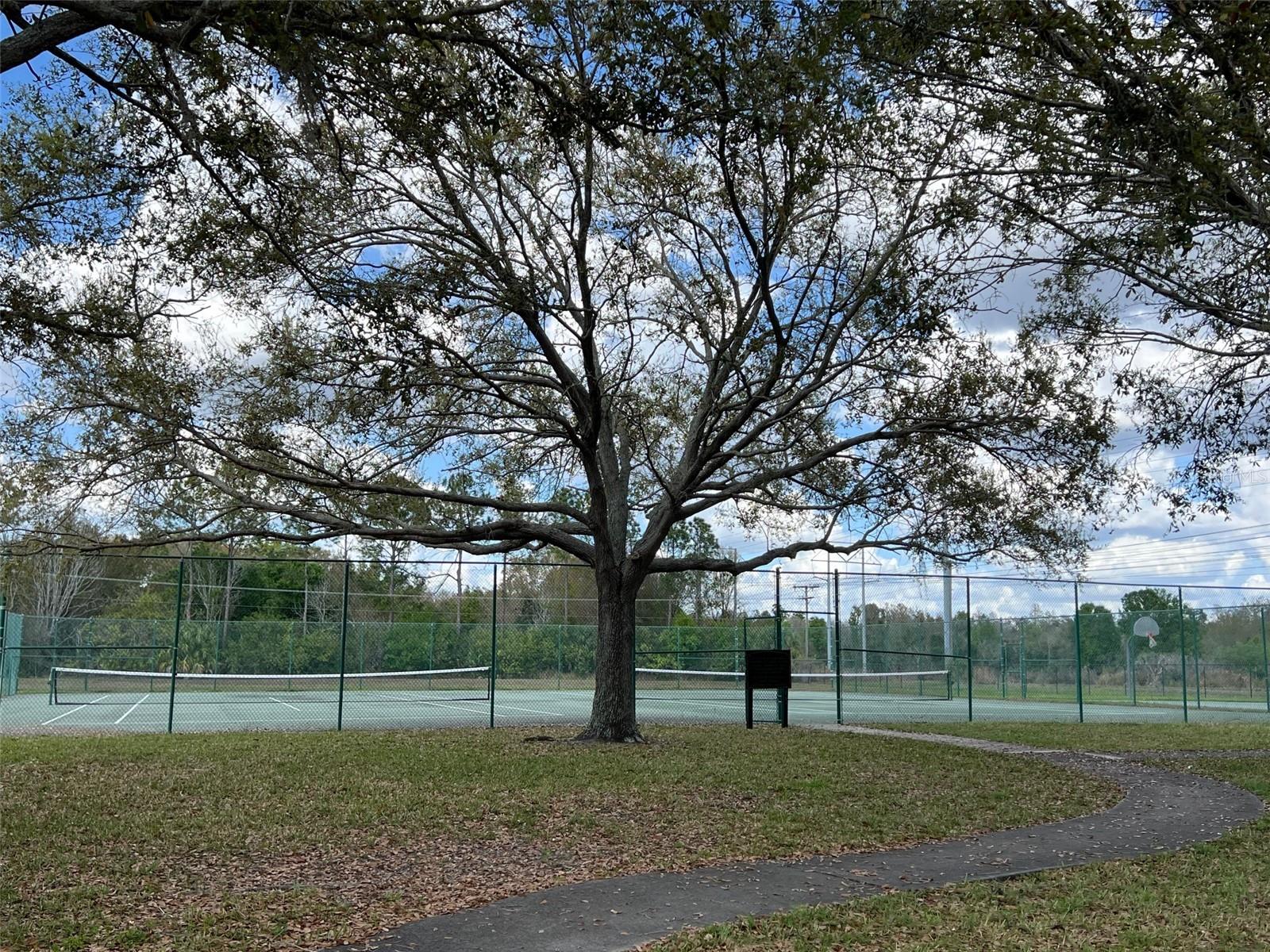 LAKE CHASE CONDO - Residential