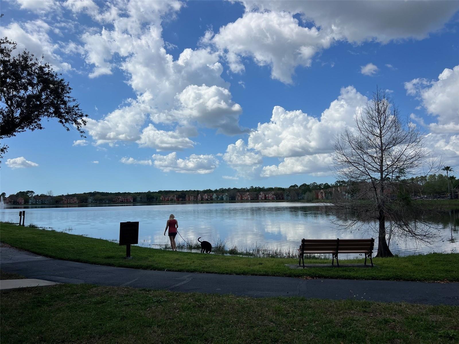 LAKE CHASE CONDO - Residential