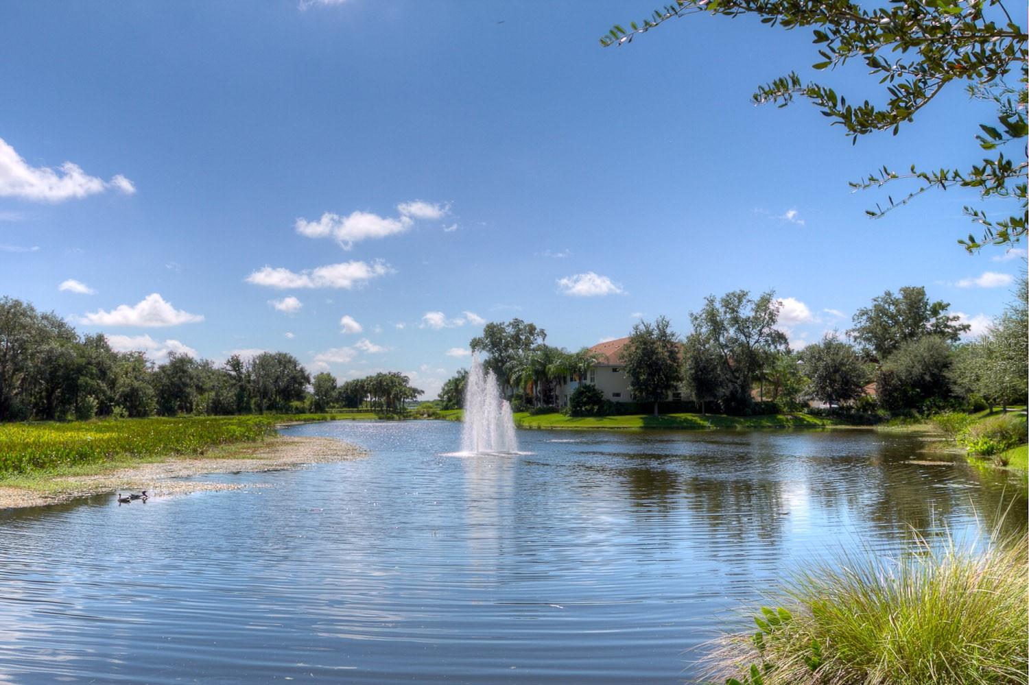 HARBORAGE ON BRADEN RIVER I PH I - Residential Lease