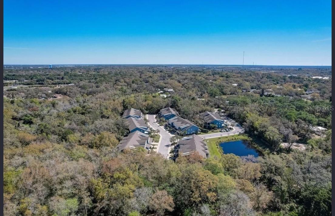 HAMMOCK PARK - Residential Lease