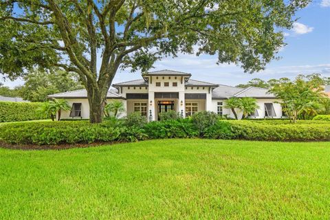 8515 LOCH DRIVE ODESSA FL 33556